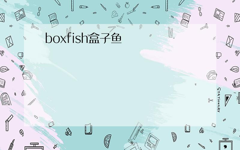 boxfish盒子鱼