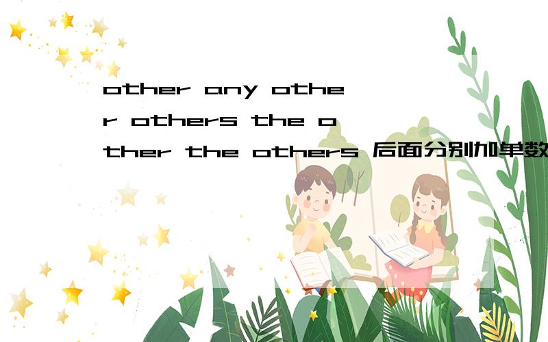 other any other others the other the others 后面分别加单数复数?