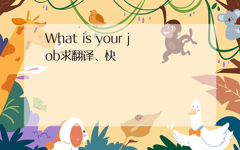 What is your job求翻译、快