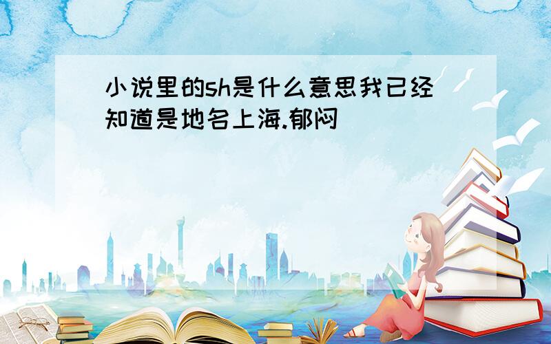 小说里的sh是什么意思我已经知道是地名上海.郁闷