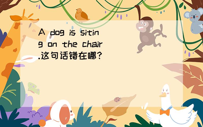 A dog is siting on the chair.这句话错在哪?