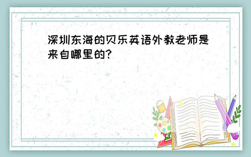 深圳东海的贝乐英语外教老师是来自哪里的?