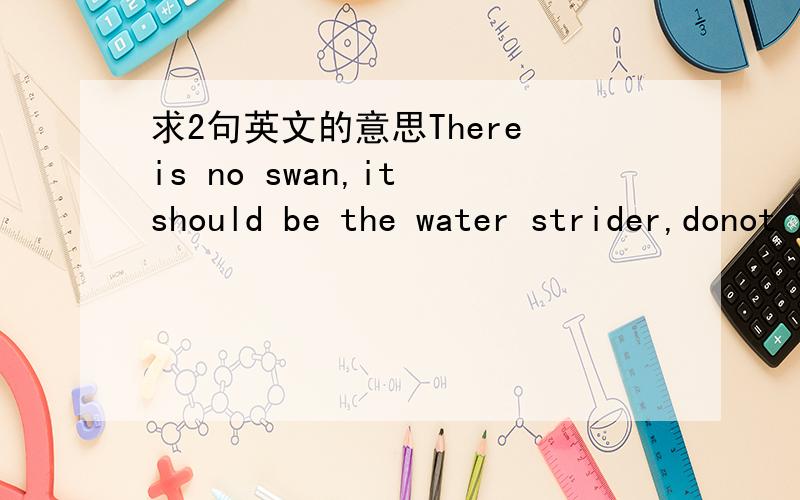 求2句英文的意思There is no swan,it should be the water strider,donot you think?but if i try thinking hard,even i can stand on the water surface漫画中的 又不懂了