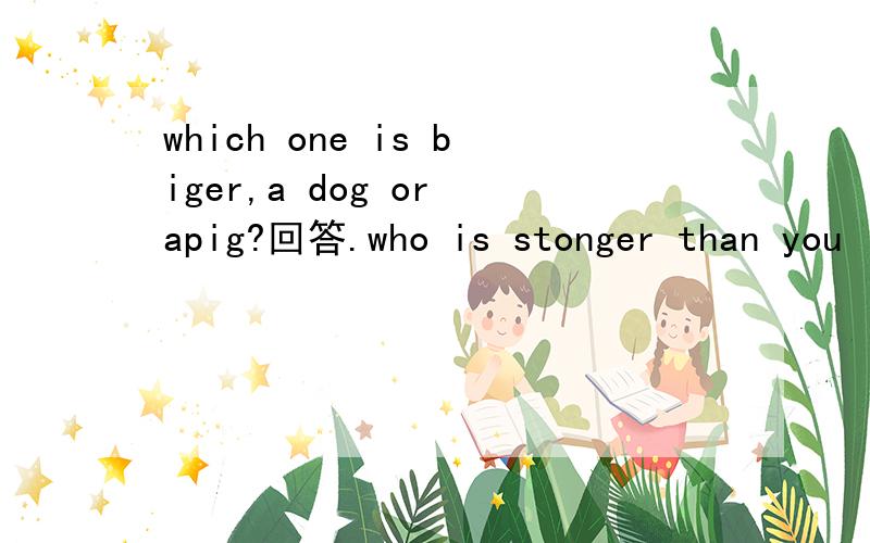 which one is biger,a dog or apig?回答.who is stonger than you in your class?回答