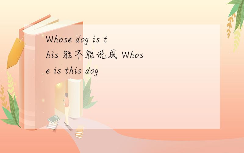 Whose dog is this 能不能说成 Whose is this dog
