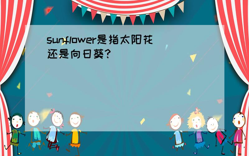 sunflower是指太阳花还是向日葵?