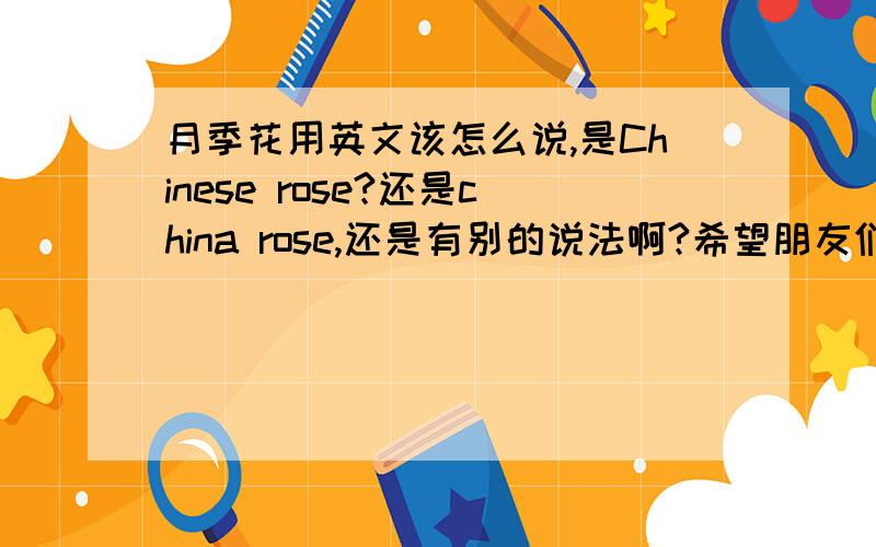 月季花用英文该怎么说,是Chinese rose?还是china rose,还是有别的说法啊?希望朋友们给我标准正确的答案,