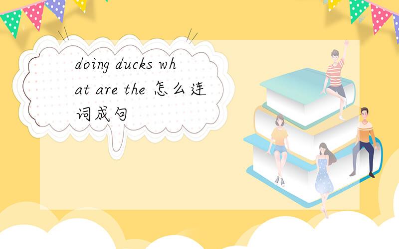 doing ducks what are the 怎么连词成句