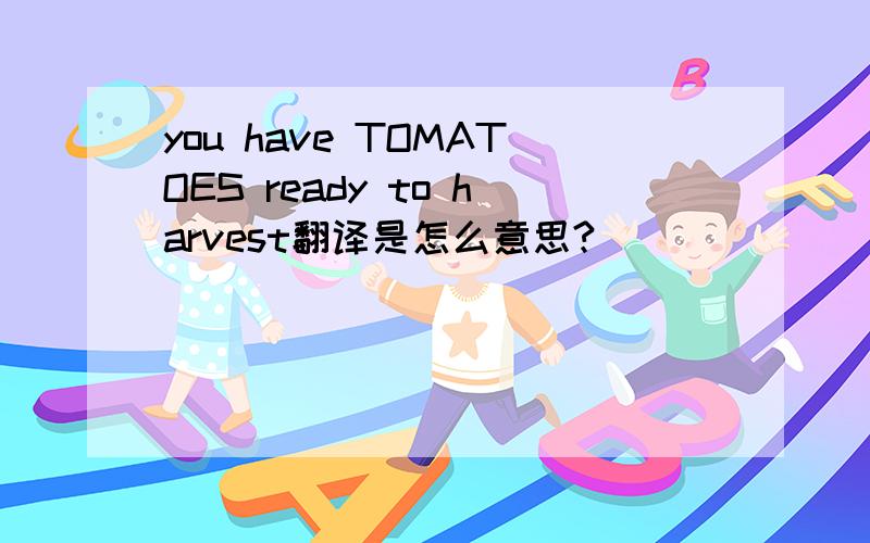 you have TOMATOES ready to harvest翻译是怎么意思?