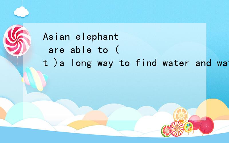 Asian elephant are able to (t )a long way to find water and water.Elephants are able to move veryquietly.In the areas of lots of trees,elephants cannot see each other,so they make some (s ) to keep in touch.Other elephants canhear them from over 19km