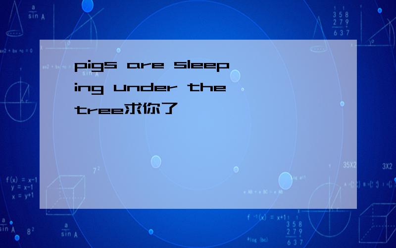 pigs are sleeping under the tree求你了