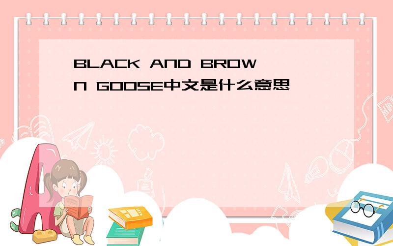 BLACK AND BROWN GOOSE中文是什么意思