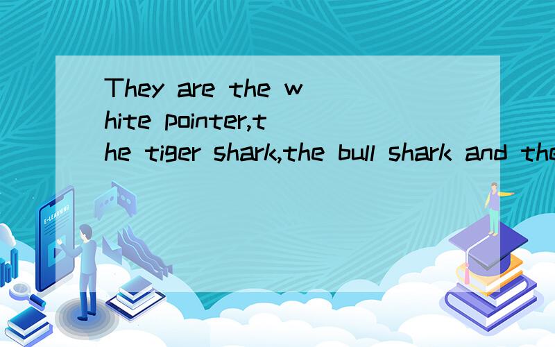 They are the white pointer,the tiger shark,the bull shark and the white tip.翻译