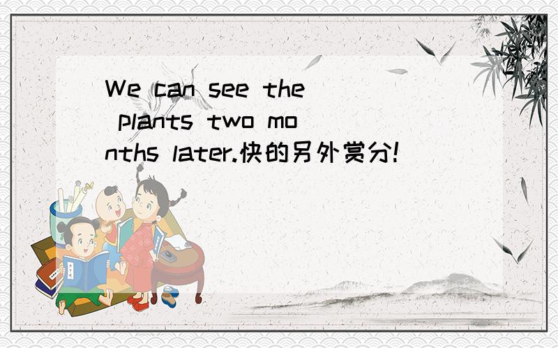 We can see the plants two months later.快的另外赏分!