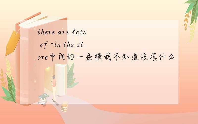 there are lots of -in the store中间的一条横我不知道该填什么