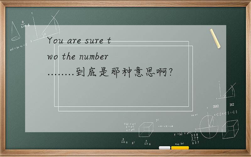 You are sure two the number ........到底是那种意思啊？