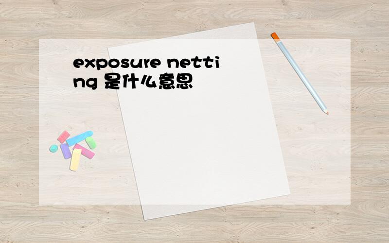 exposure netting 是什么意思