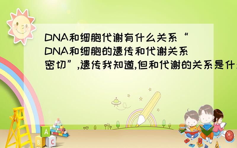 DNA和细胞代谢有什么关系“DNA和细胞的遗传和代谢关系密切”,遗传我知道,但和代谢的关系是什么呢?
