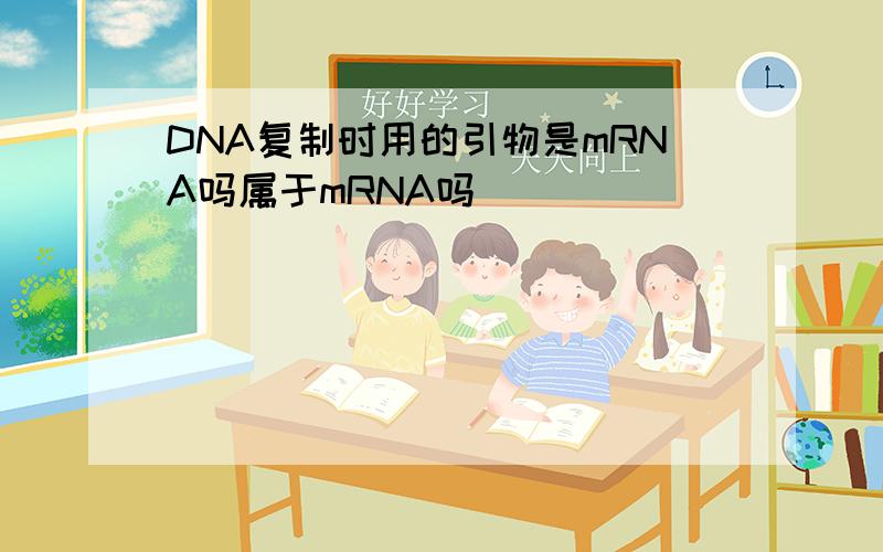 DNA复制时用的引物是mRNA吗属于mRNA吗