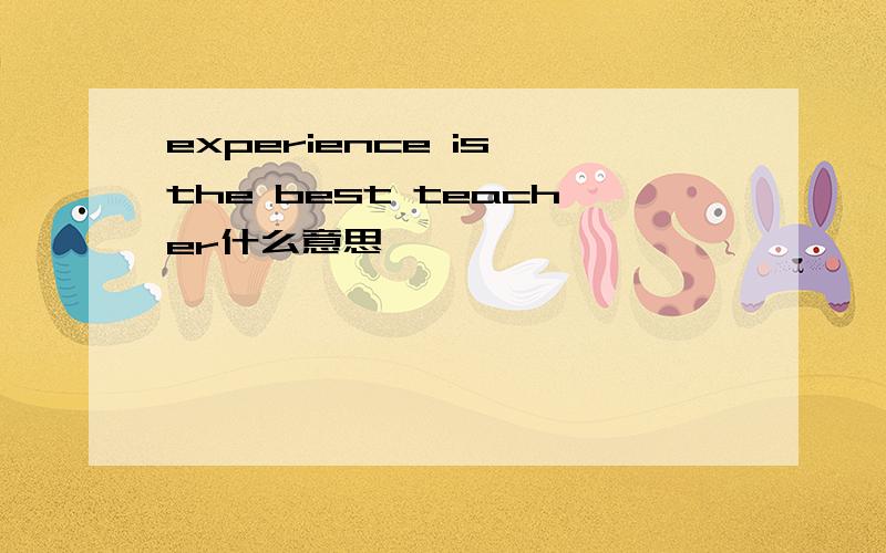 experience is the best teacher什么意思
