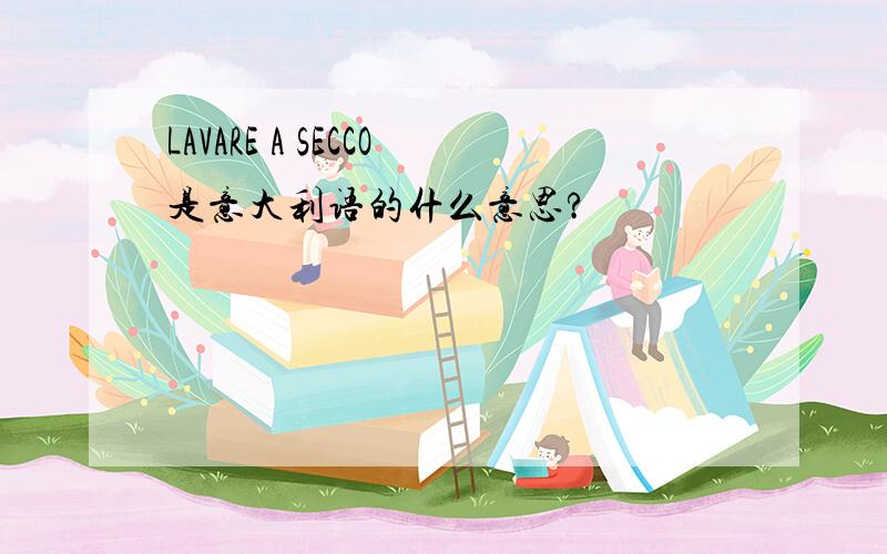 LAVARE A SECCO是意大利语的什么意思?