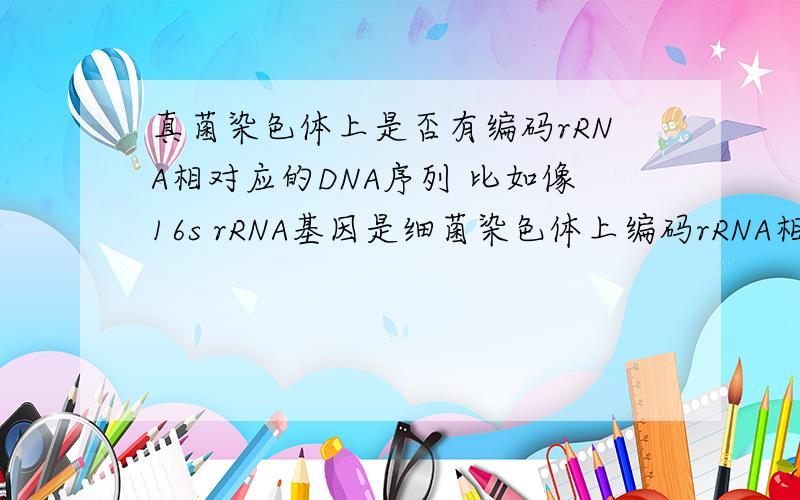 真菌染色体上是否有编码rRNA相对应的DNA序列 比如像16s rRNA基因是细菌染色体上编码rRNA相对应的DNA序列这样的呢？