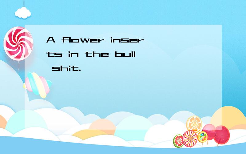 A flower inserts in the bull shit.