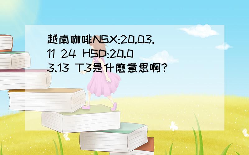 越南咖啡NSX:20.03.11 24 HSD:20.03.13 T3是什麽意思啊?