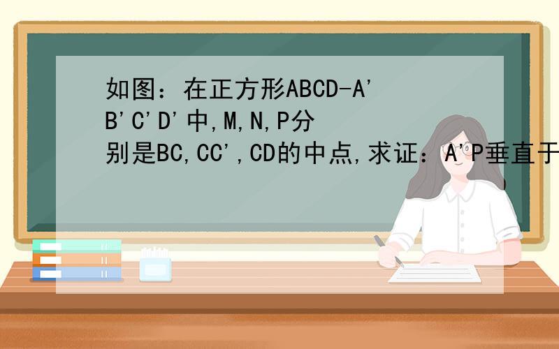 如图：在正方形ABCD-A'B'C'D'中,M,N,P分别是BC,CC',CD的中点,求证：A'P垂直于DMN~~~~~~~~~急