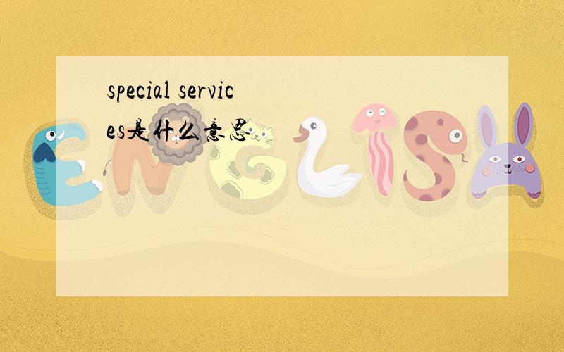 special services是什么意思