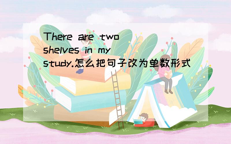 There are two shelves in my study.怎么把句子改为单数形式