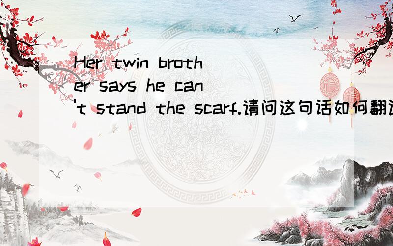 Her twin brother says he can't stand the scarf.请问这句话如何翻译?“stand