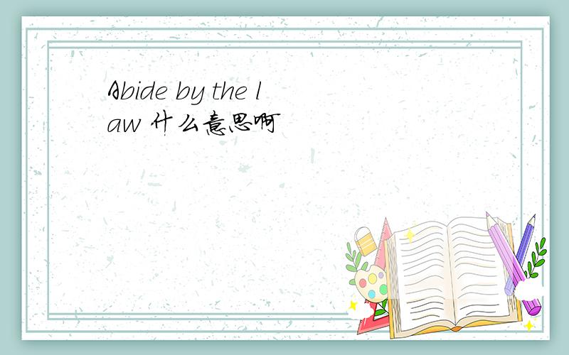 Abide by the law 什么意思啊