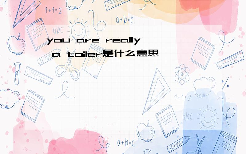 you are really a toiler是什么意思