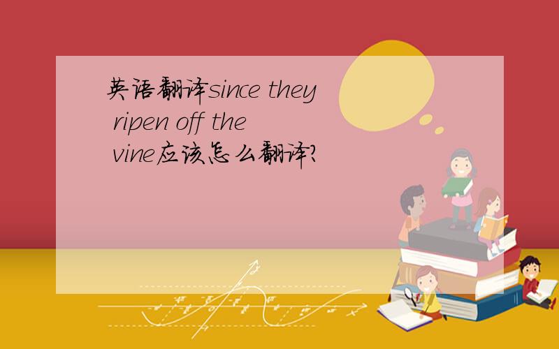 英语翻译since they ripen off the vine应该怎么翻译?