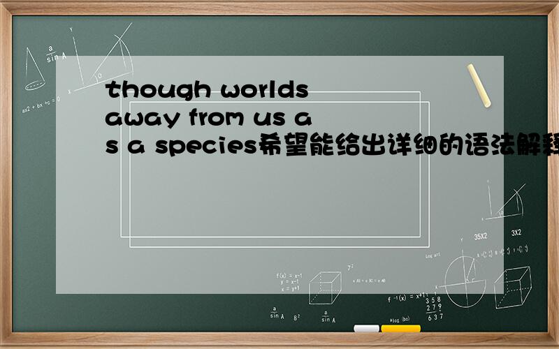 though worlds away from us as a species希望能给出详细的语法解释 或