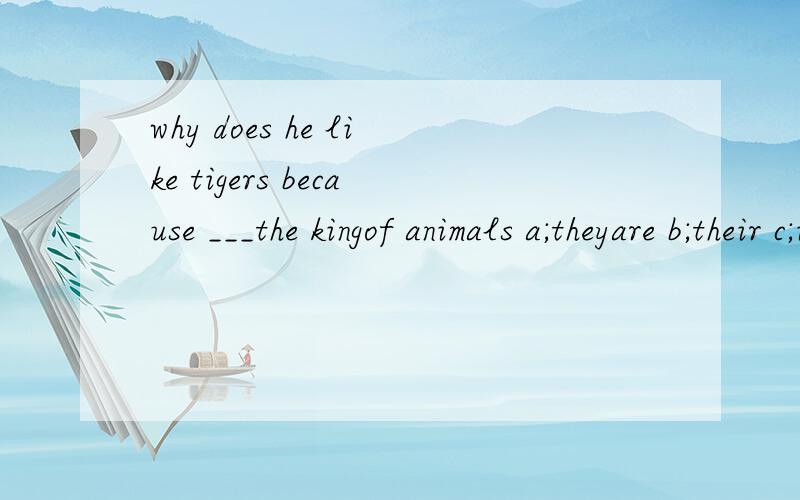 why does he like tigers because ___the kingof animals a;theyare b;their c;itis d;its