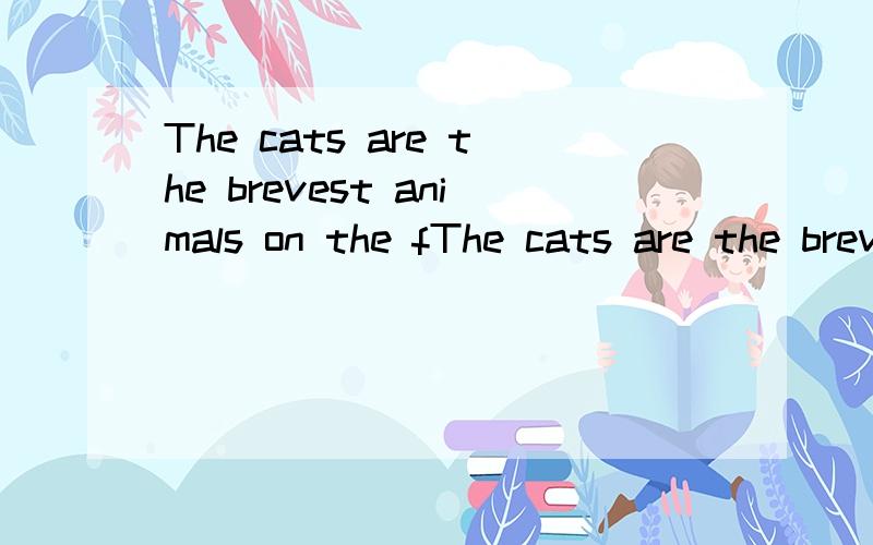 The cats are the brevest animals on the fThe cats are the brevest animals on the farm中 are the most 为什么要有the