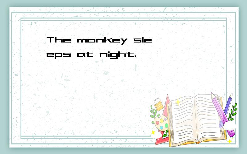 The monkey sleeps at night.