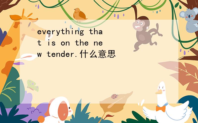 everything that is on the new tender.什么意思