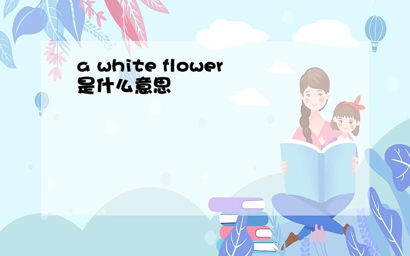 a white flower是什么意思
