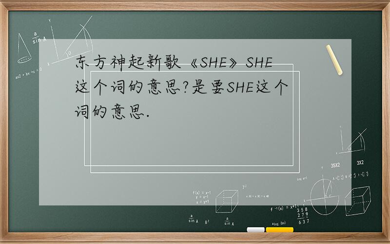 东方神起新歌《SHE》SHE这个词的意思?是要SHE这个词的意思.