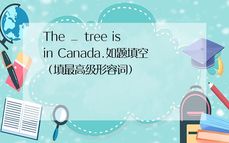 The _ tree is in Canada.如题填空（填最高级形容词）