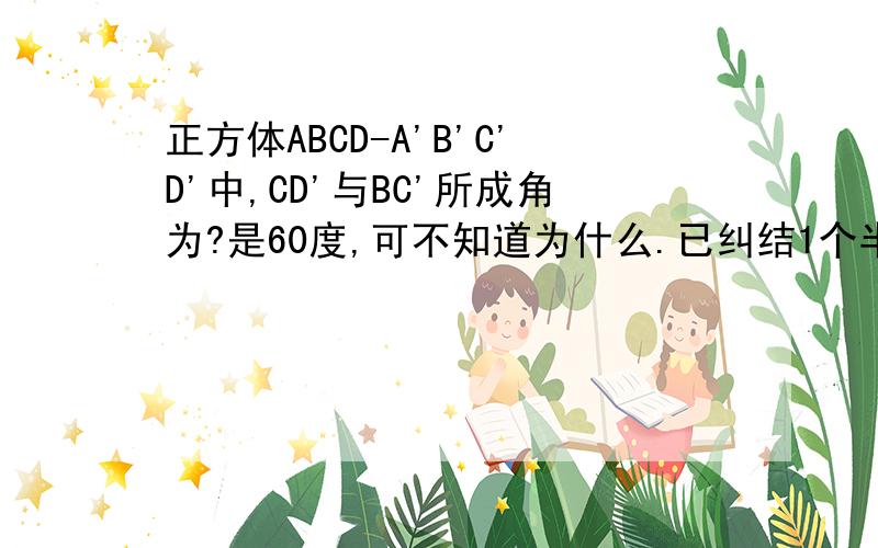 正方体ABCD-A'B'C'D'中,CD'与BC'所成角为?是60度,可不知道为什么.已纠结1个半小时了~