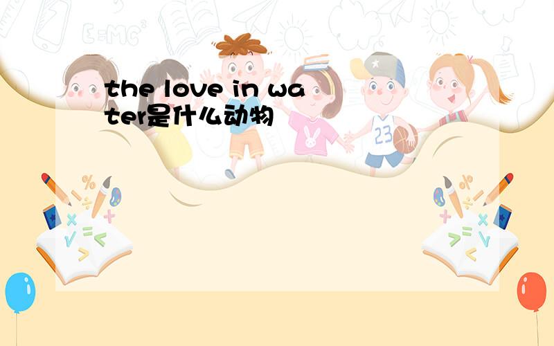 the love in water是什么动物
