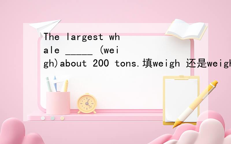 The largest whale _____ (weigh)about 200 tons.填weigh 还是weight 为什么?