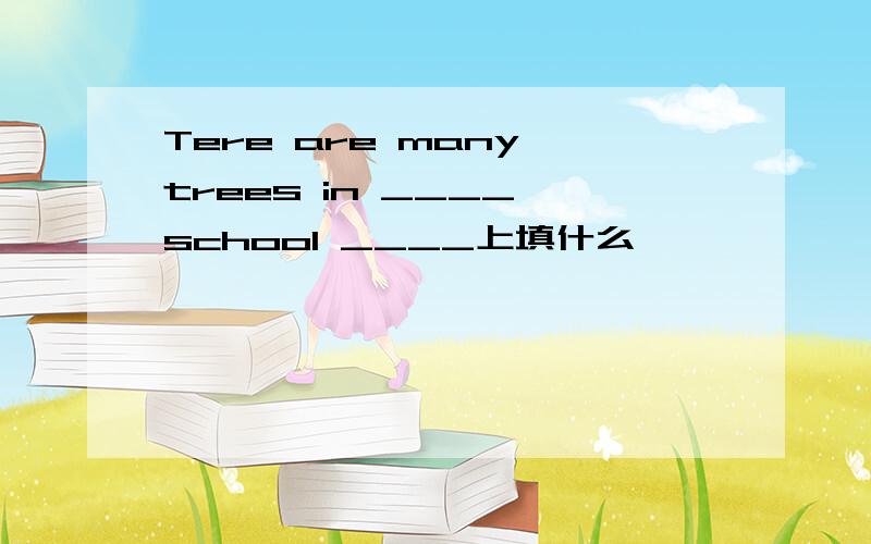 Tere are many trees in ____ school ____上填什么