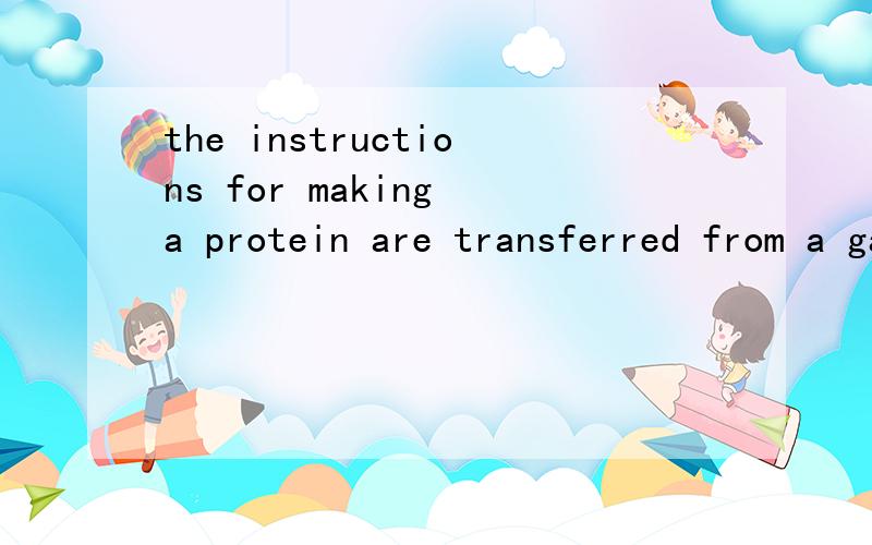 the instructions for making a protein are transferred from a game to an RNA molecule 麻烦翻译下 RT