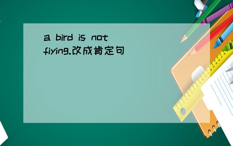a bird is not fiying.改成肯定句