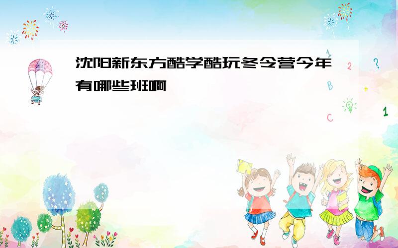 沈阳新东方酷学酷玩冬令营今年有哪些班啊
